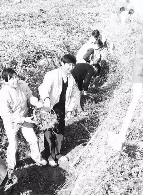 1989年,时任福建省宁德地委书记的习近平在农村调研时参加劳动