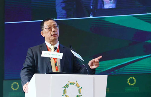 为什么城镇化“冷”下来了？