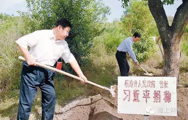 2001年，时任福建省省长的习近平在长汀县为他捐种的香樟树培土浇水